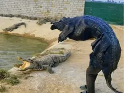 Скачать видео: 鳄舅魂吓没了