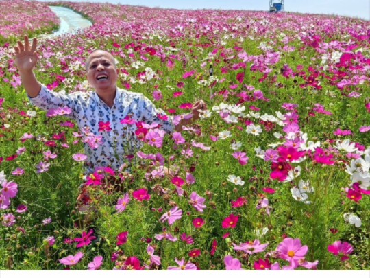 九月份的高坡云顶花海格桑花已经开了,风景如诗如画,云霞映照,心旷神怡,空气宜人,我们今天的心情美呆了,相信如此美妙场景太适合拍照打卡了....