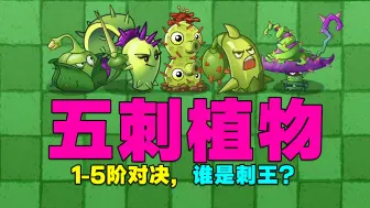 Скачать видео: 五刺植物1到5阶对决，谁是刺王？植物大战僵尸2