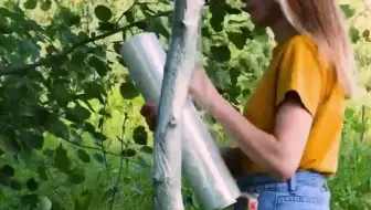 《借位后语》宝藏小说  每日推文  小说推荐