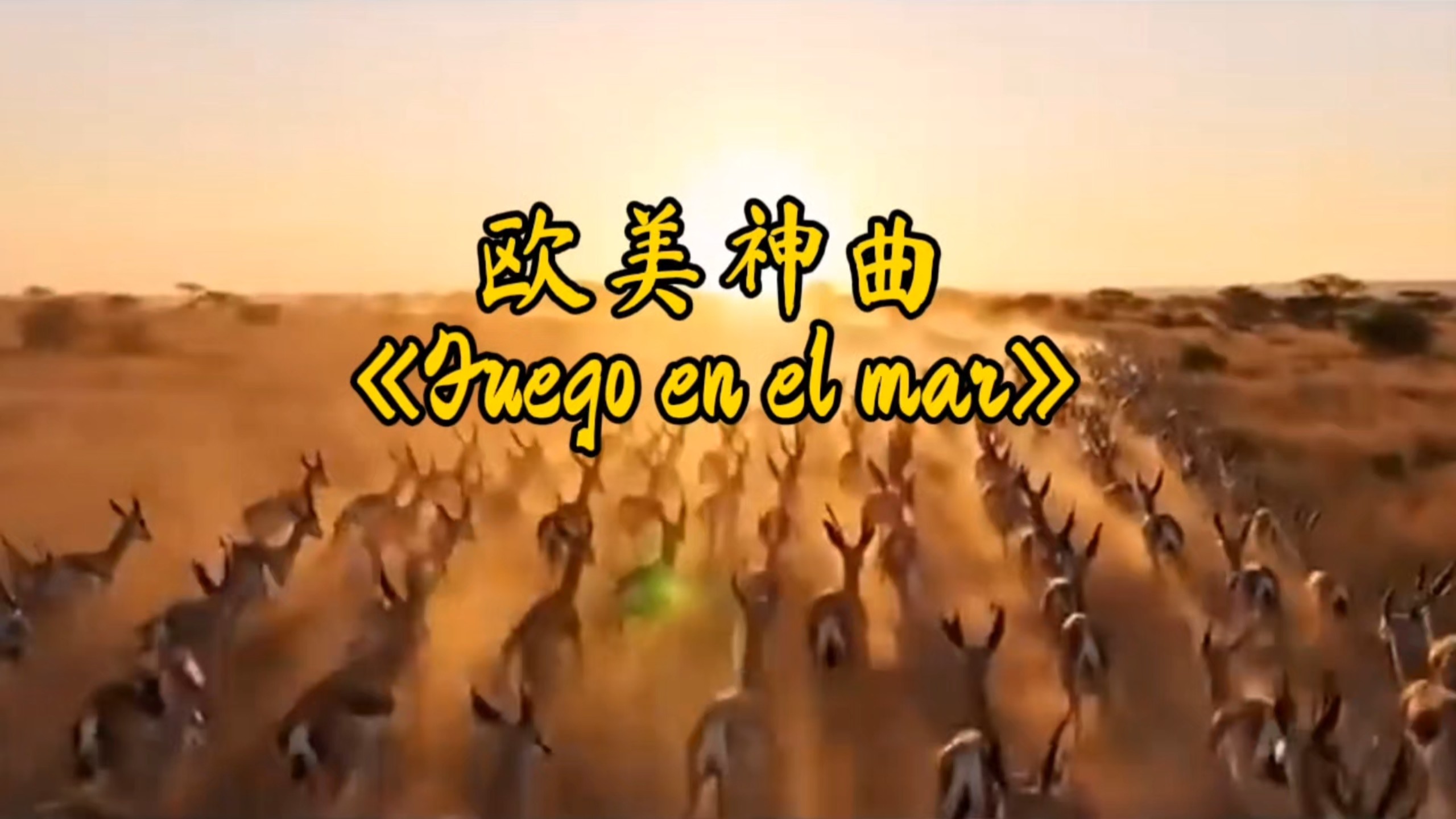 西班牙神曲《Fuego en el mar》百听不厌。好听到停不下来