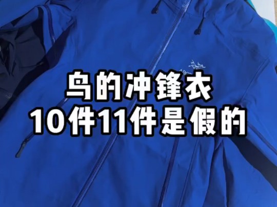 【台州鸟科普】鸟的冲锋衣10件11件是假的!本期视频教你避坑!哔哩哔哩bilibili