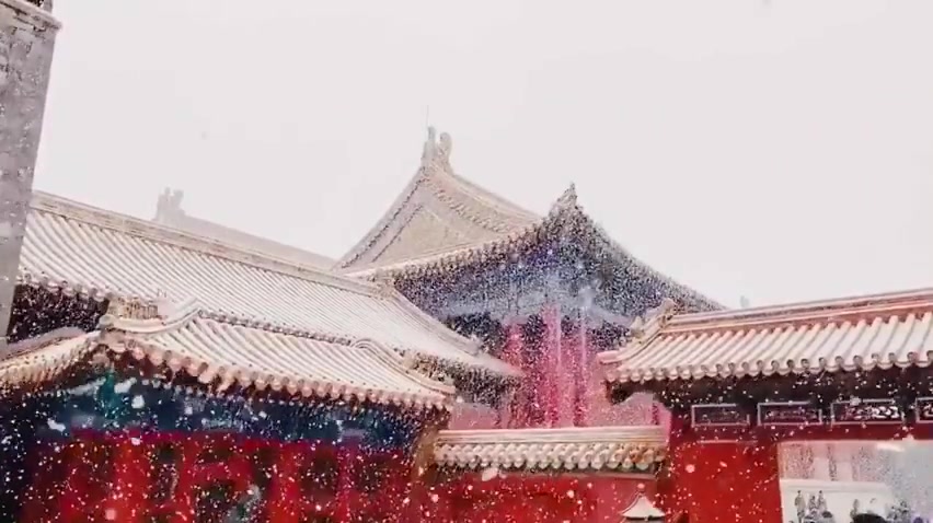 [图]北京初雪，下了一夜的雪，故宫变回了紫禁城；我慢慢地听雪落下的声音，闭着眼睛幻想它不会停；真的美哭了！