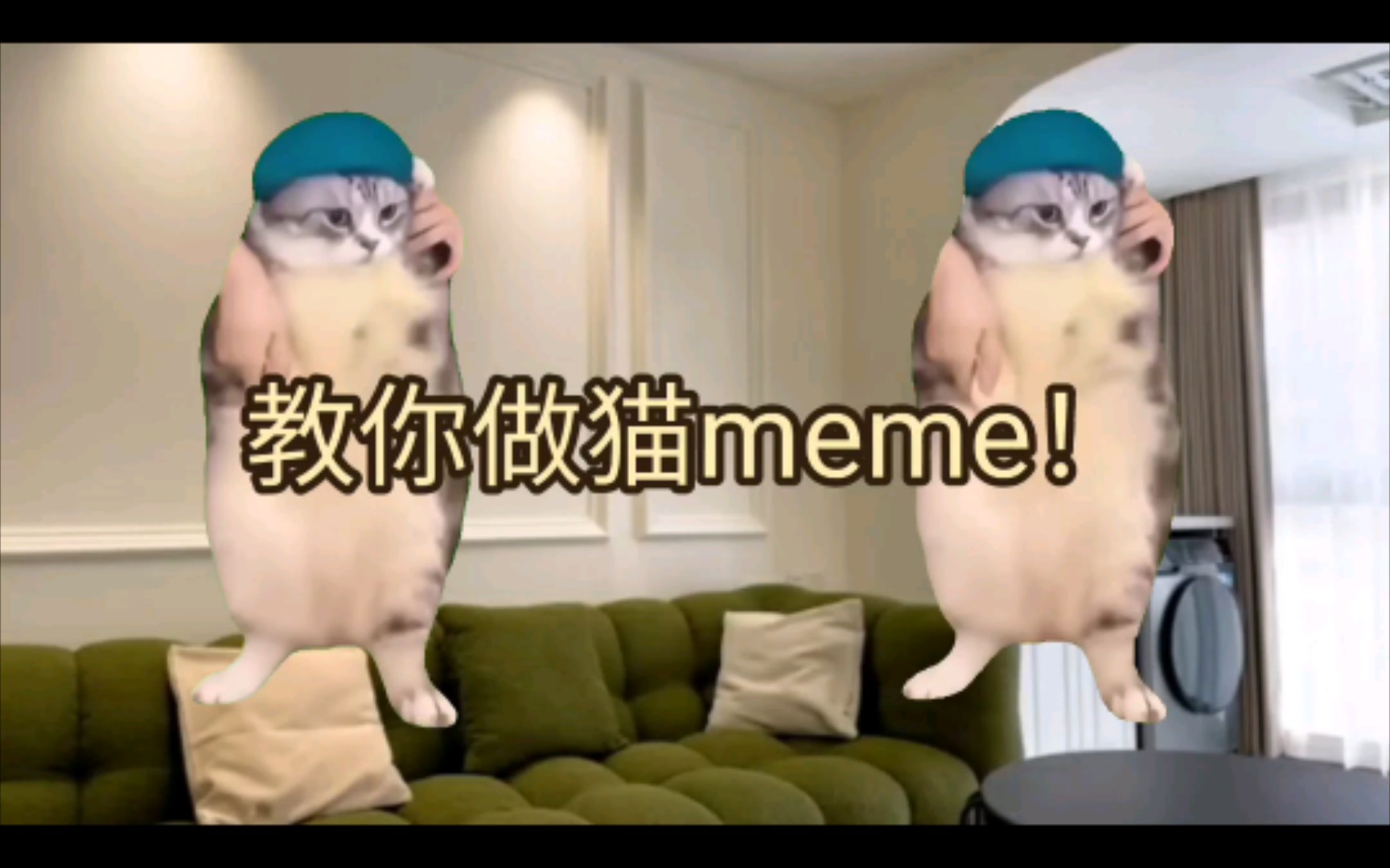 【小白剪辑教学】手把脚教你做猫meme视频||猫meme‖素材获取与抠图‖手机必剪基本操作‖哔哩哔哩bilibili