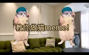 Download Video: 【小白剪辑教学】手把脚教你做猫meme视频||猫meme‖素材获取与抠图‖手机必剪基本操作‖