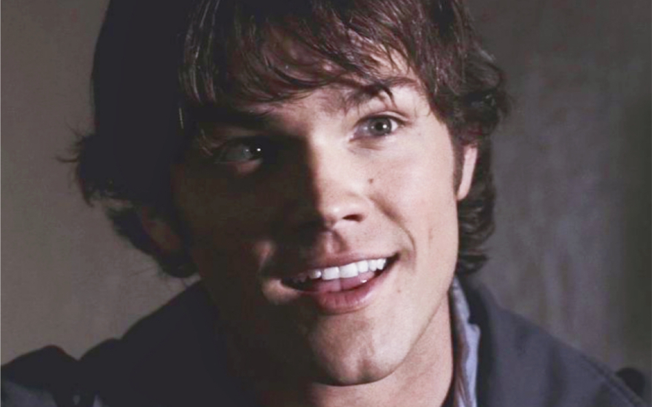 【spn|sam winchester】小狗拯救世界!