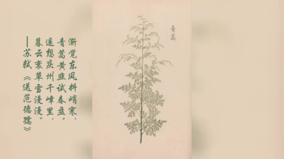 [图]发现古籍之美·《庶物类纂图翼》：古籍、诗文中的药草植物之美.07-2