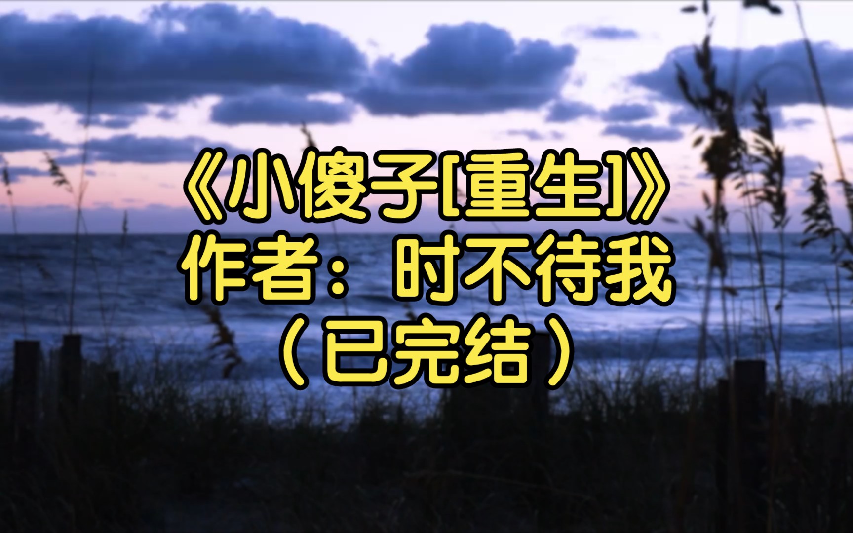 【推文】《小傻子[重生]》作者:时不待我(已完结)那个被放在手心里的小傻子回来了,回到了年纪正好的十八岁/强强 情有独钟 天作之合 重生哔哩哔哩...