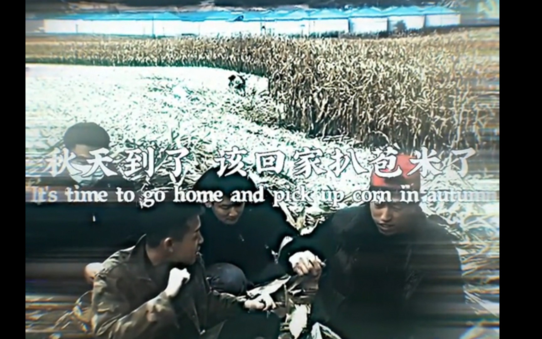 [图]It ' s time to go home and pick up corn in autumn .（秋天到了该回家扒苞米了）