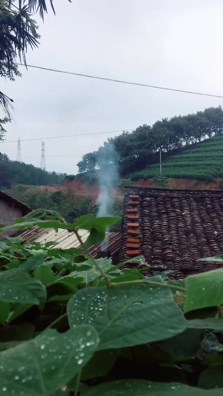 山村早晨炊烟袅袅19543