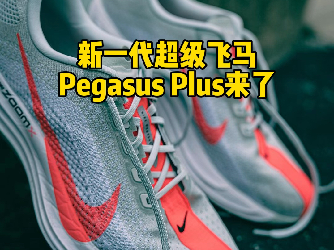 低调上市,新一代超级飞马Pegasus Plus来了哔哩哔哩bilibili