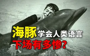 Video herunterladen: NASA封杀50年的海豚实验，海豚学会了人类语言，结局却令人心碎！