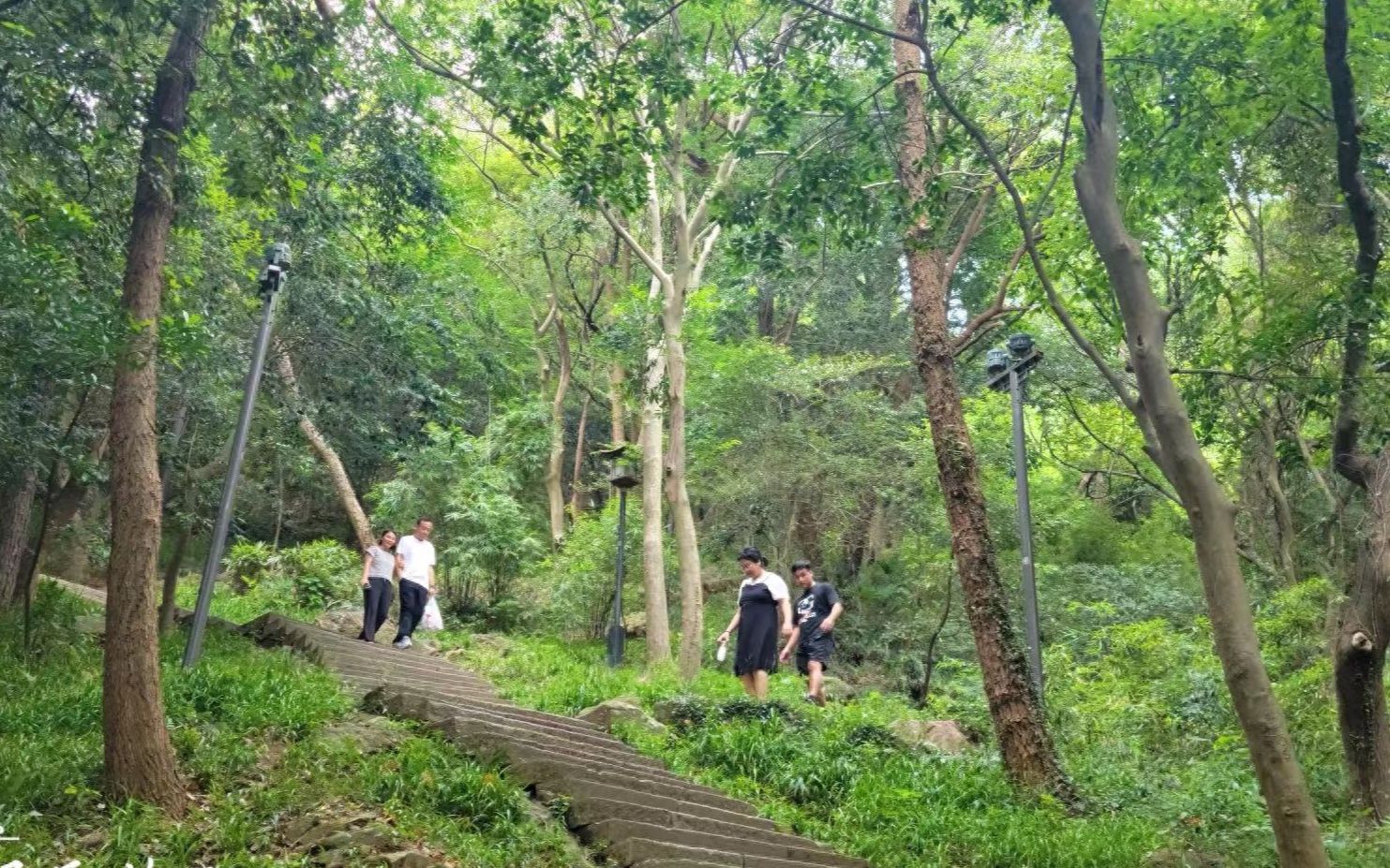 浙江湘湖越王城遗址,藏于杭州城山顶,少有人来却有美丽风光哔哩哔哩bilibili