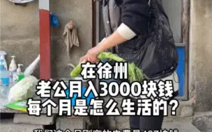 Скачать видео: 州，老公月入3000块钱，每个月怎么生活