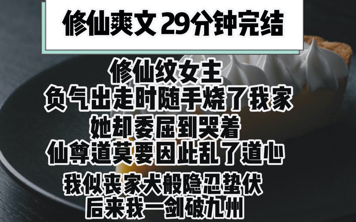 (修仙爽文)修仙纹女主 负气出走时随手烧了我家她却委屈到哭着 莫要因此乱了道心 我似丧家犬般隐忍蛰哔哩哔哩bilibili