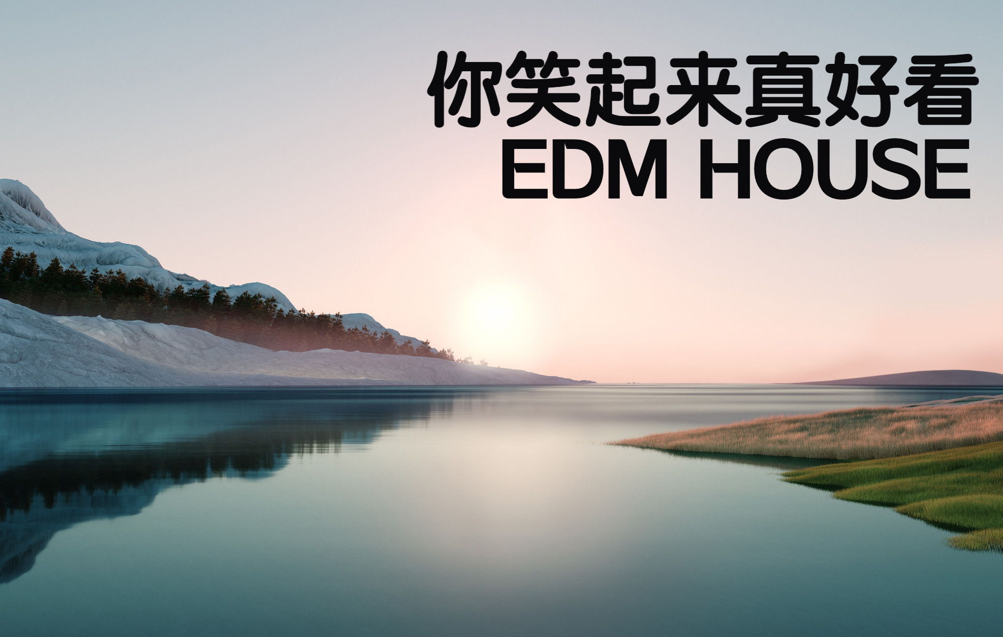 你笑起来真好看edm