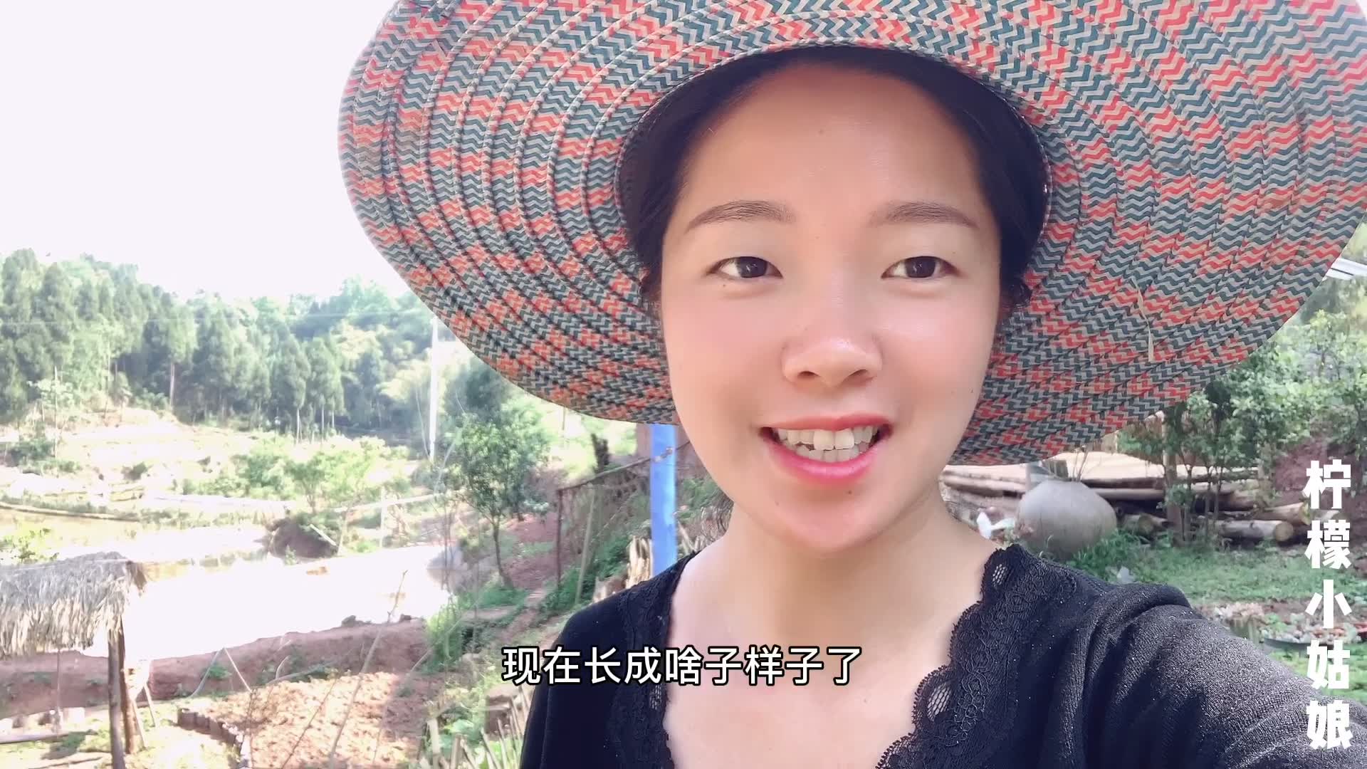 四川资阳,山里住着一位漂亮姑娘,看完她的田园生活,你羡慕吗_哔哩哔哩