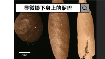 Tải video: 一个星期不洗澡，身上的泥巴长什么样