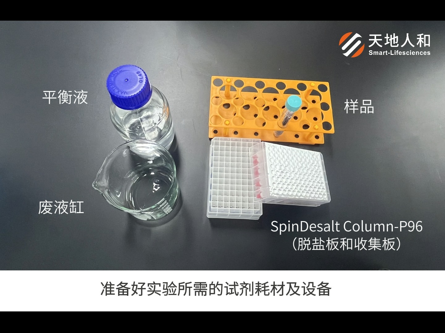 G25离心脱盐柱系列 SpinDesalt ColumnP96实验操作哔哩哔哩bilibili