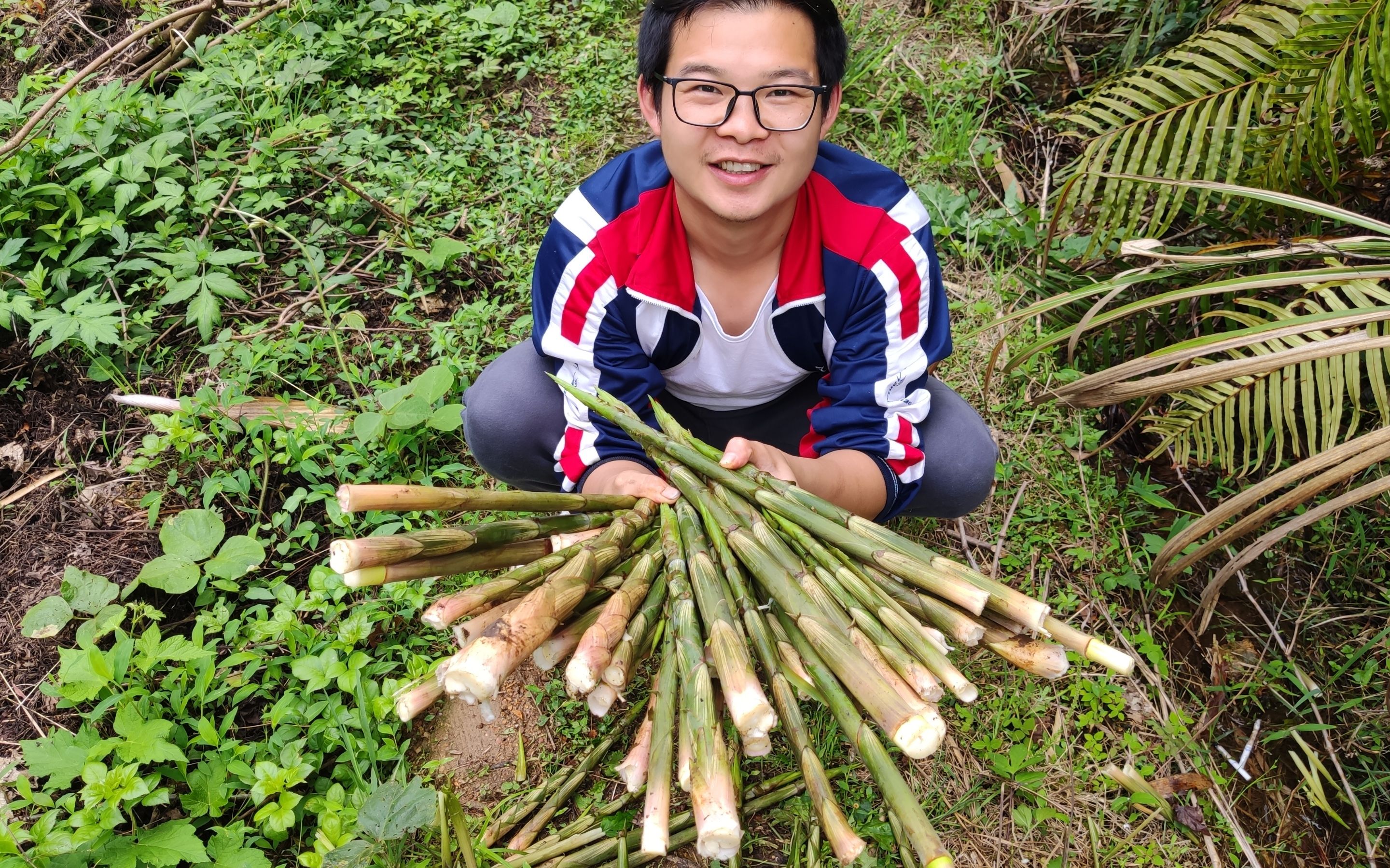 山上的笋都被你夺完了图片