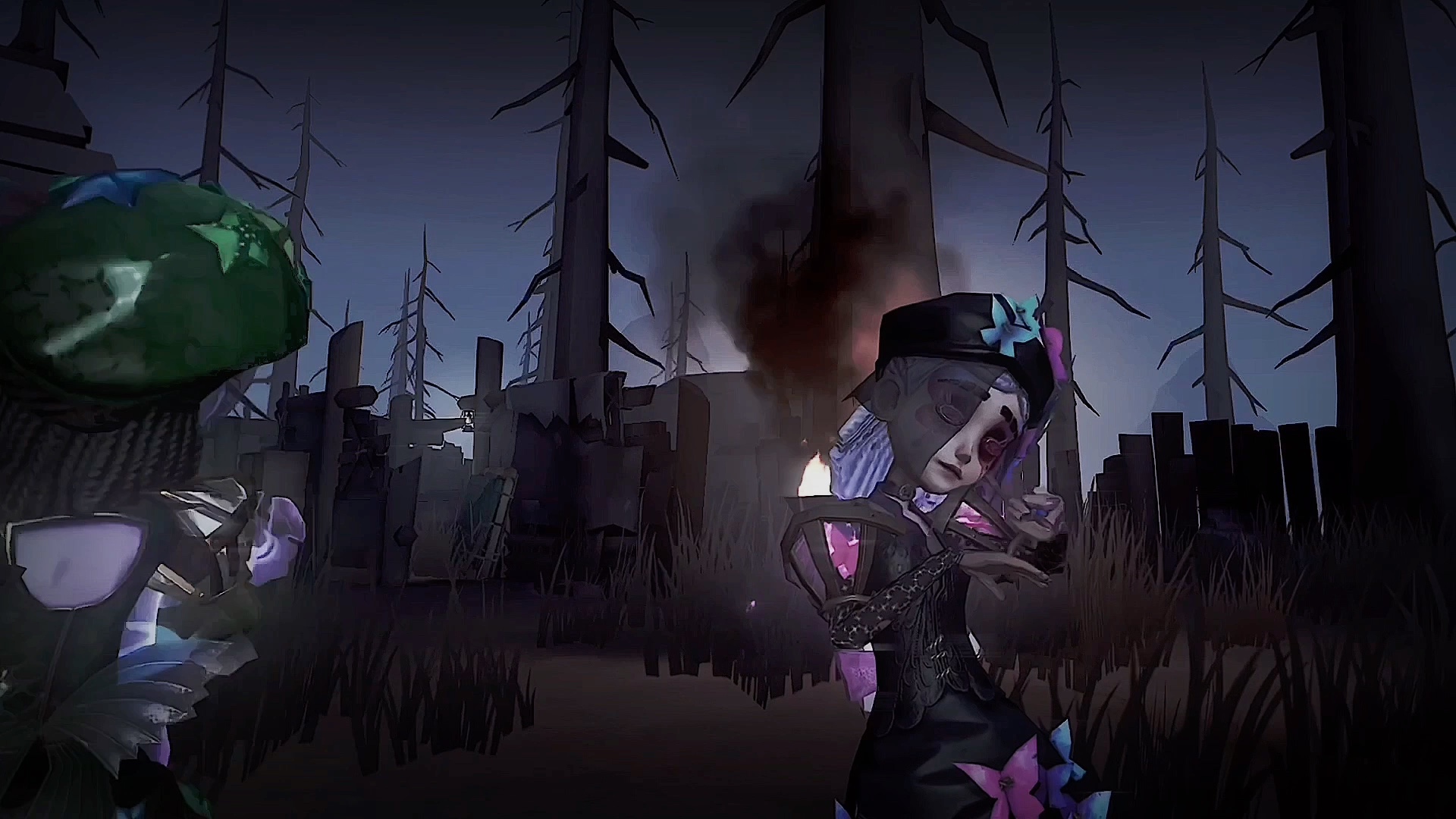 "给薇拉·奈尔的一封信"