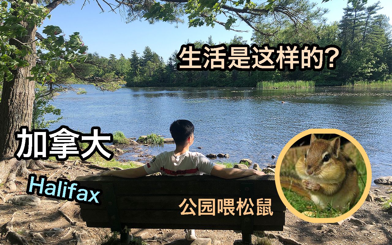 [图]在加拿大的生活到底怎样？| 加拿大哈利法克斯