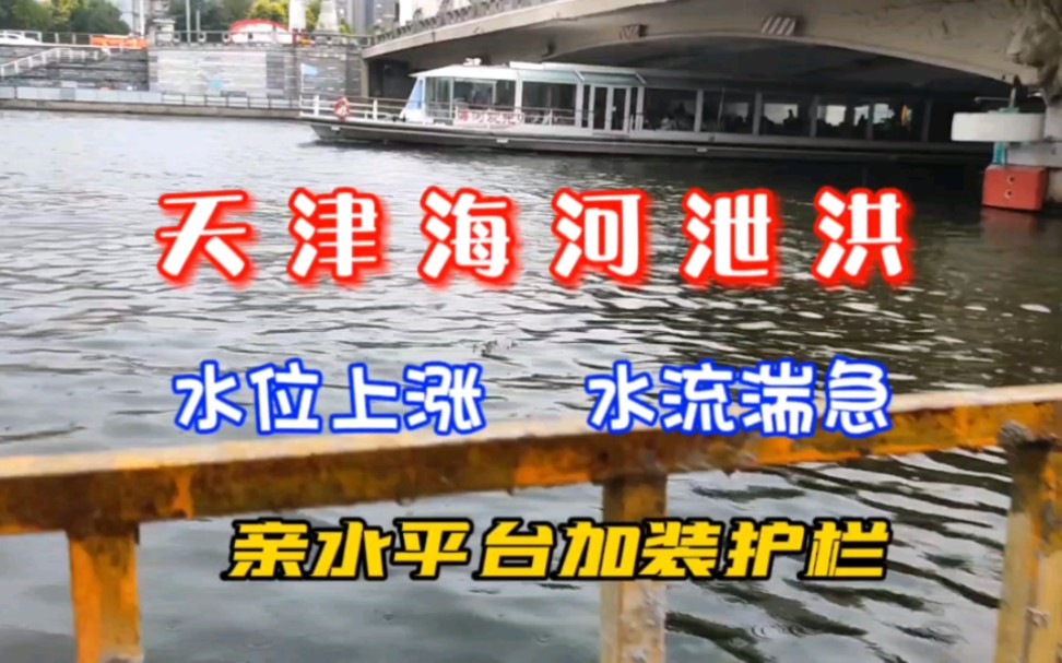 天津海河水位上涨,水流湍急,亲水平台加装护栏,温馨提示,汛期远离河道!哔哩哔哩bilibili