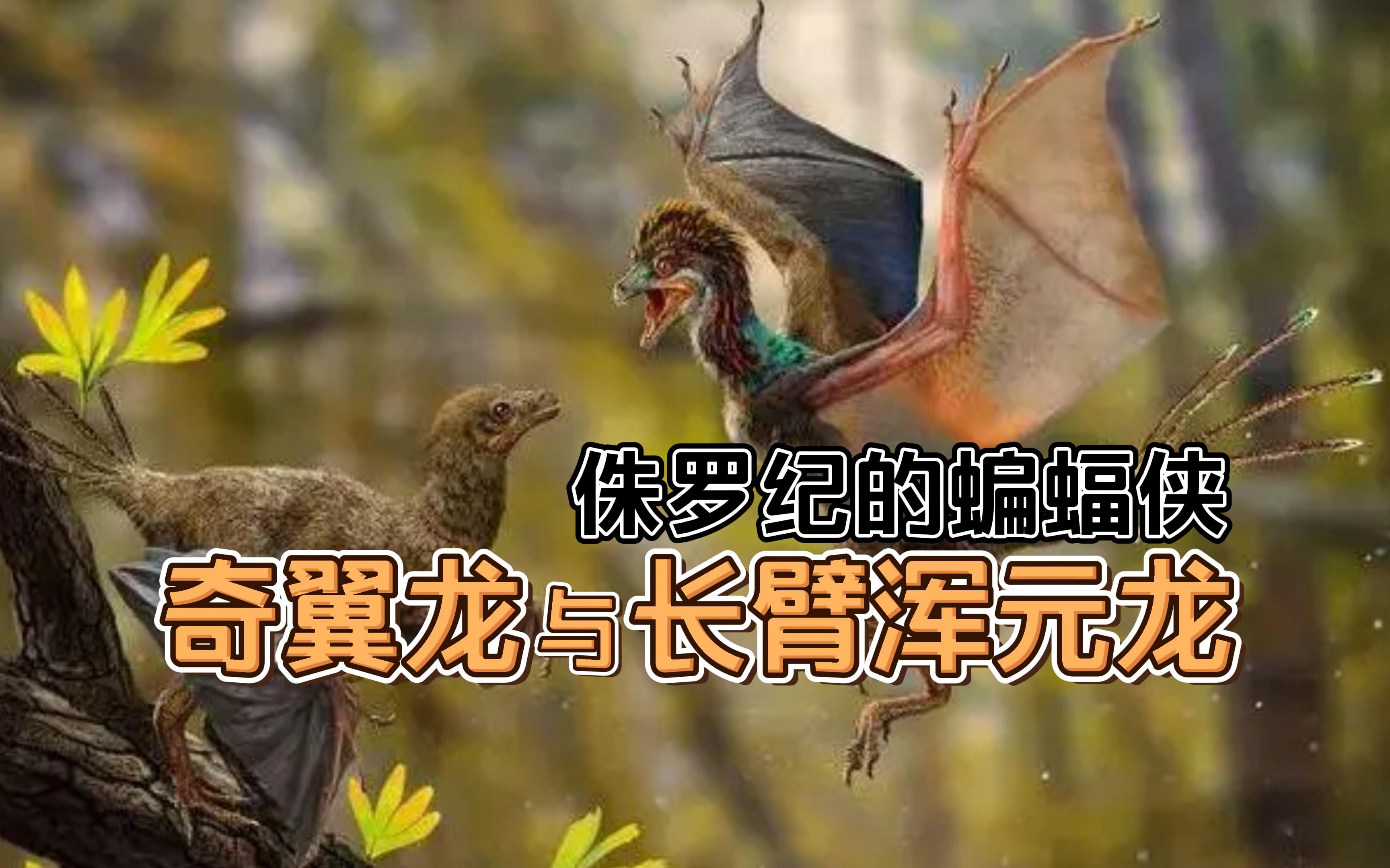 【华夏龙组】颠覆学界认知的怪异恐龙!