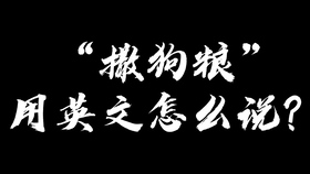 秀恩爱 撒狗粮 的英文怎么说 哔哩哔哩 つロ干杯 Bilibili