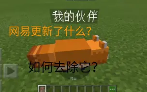 Tải video: 【无名氏第987名】如何去除网易我的世界的“我的伙伴”？