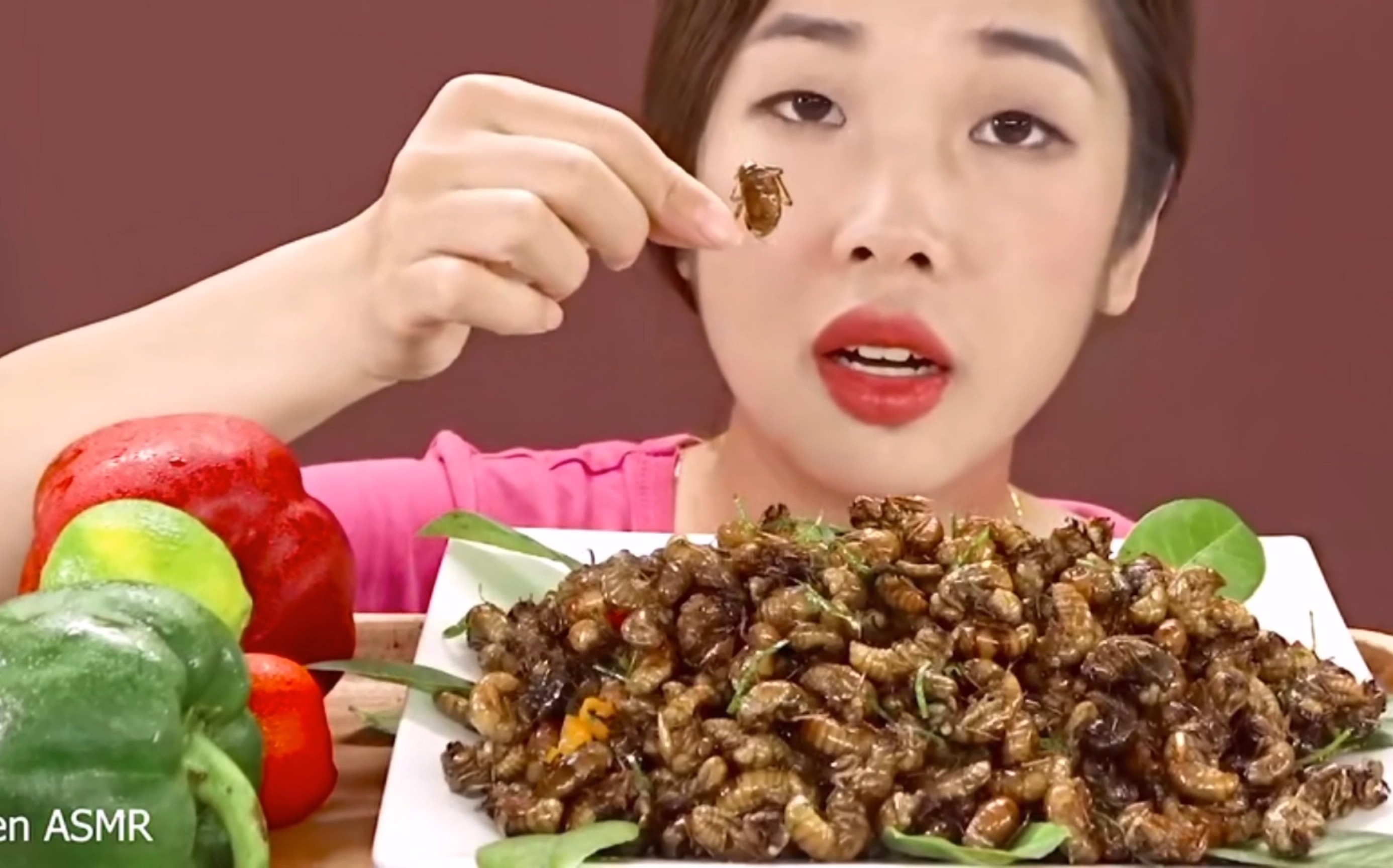 chenasmr夏天来了吃些蝉吧