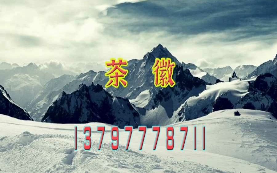 武汉特色sz海选