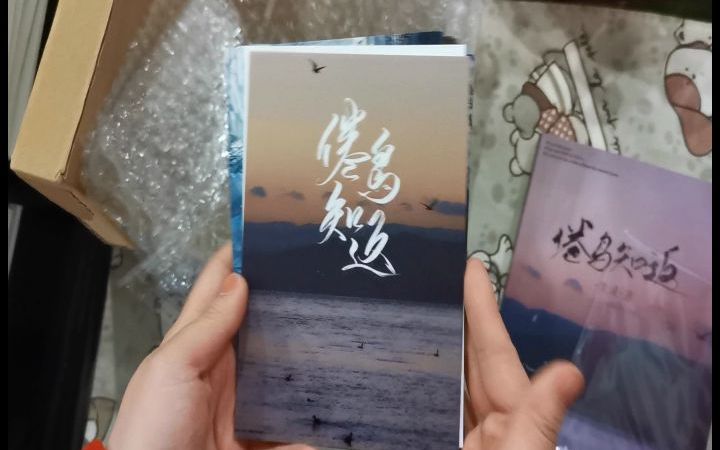 【博君一肖】博肖同人文《倦鸟知返》(by失灵)纸质