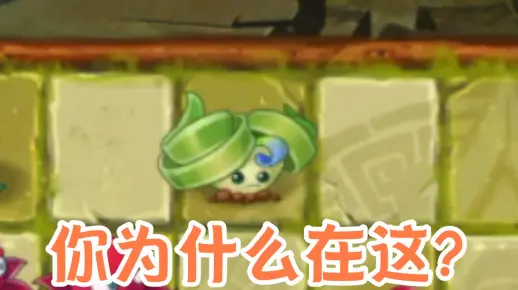 阿 开 木 木 失 踪 记
