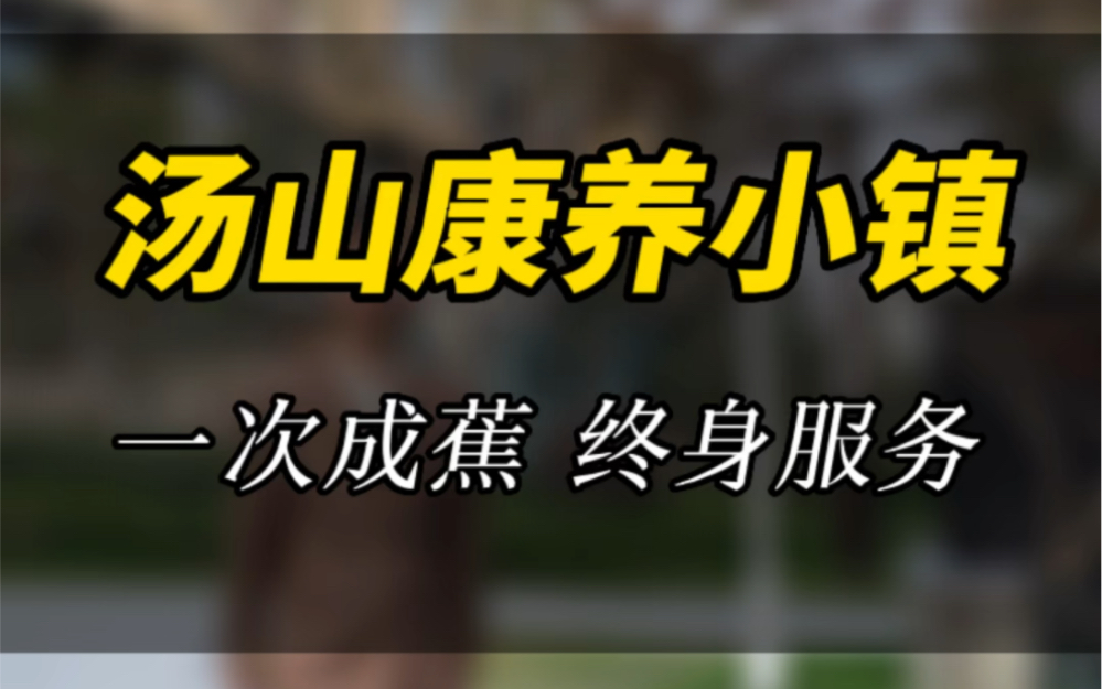 记住阿嵇不只是卖房的!一次成交,终身服务!#销售日常 #南京阿嵇说房 #南京买房攻略 #同城热门 #别墅梦哔哩哔哩bilibili