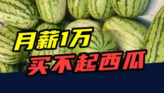 从5元一个到5元一斤！西瓜，为什么越来越贵？