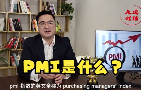 PMI是什么?哔哩哔哩bilibili