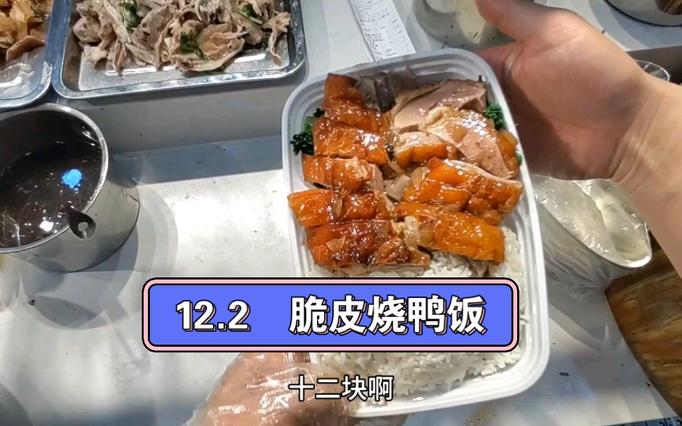 12.2一份脆皮烧鸭饭,这分量满满的,外卖单的分量哔哩哔哩bilibili