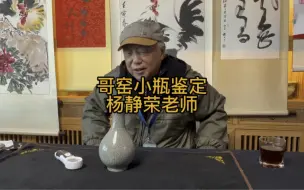 Video herunterladen: 藏友带来哥窑小瓶让故宫博物院专家杨静荣老师鉴定讲解评估