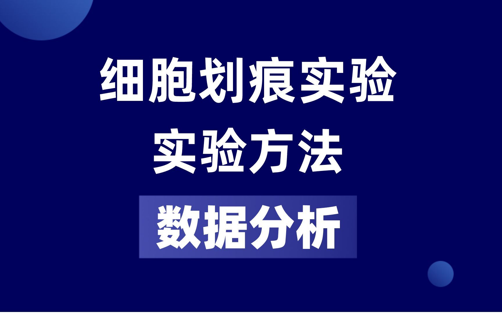 细胞划痕实验的实验原理详细解读哔哩哔哩bilibili