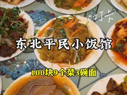 Download Video: 哈尔滨100块3个人9个菜加3碗面？！这也太实惠了！除了东北哪里还有这种物价？！