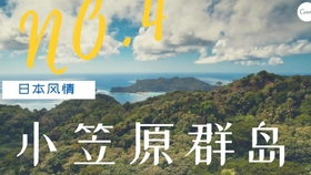 Tbs纪录片 世界遗产 小笠原群岛 17年08月日 中日字幕 哔哩哔哩 つロ干杯 Bilibili