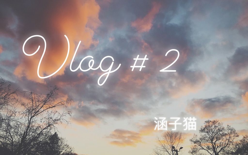 Vlog #2 Sophie表情包合集哔哩哔哩bilibili