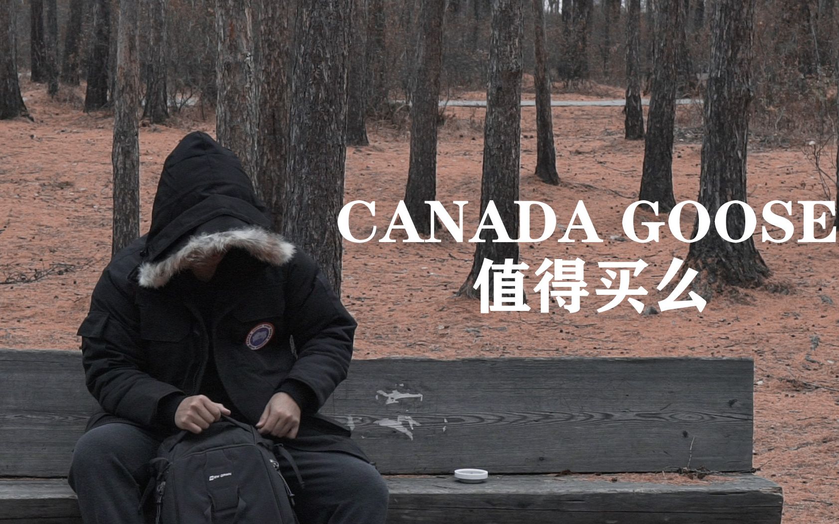 CANADA GOOSE值得买么?全网最深度评测(加拿大鹅)哔哩哔哩bilibili