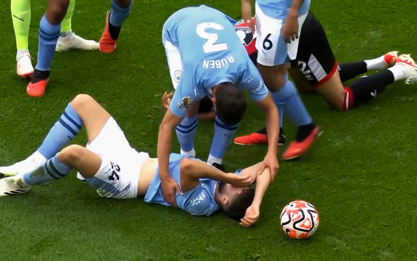 格瓦迪奥尔|被扇了一巴掌还滚了两遍 可怜熊宝鲁总拍拍