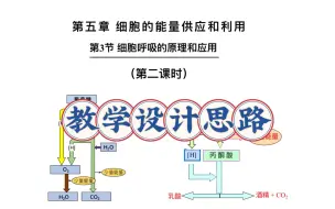 Скачать видео: 5.3细胞呼吸的原理和应用第2课时教学设计思路及PPT设计