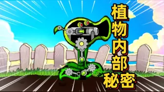 Download Video: 植物大战僵尸：植物内部的秘密！墓碑吞噬者里面有锯子？