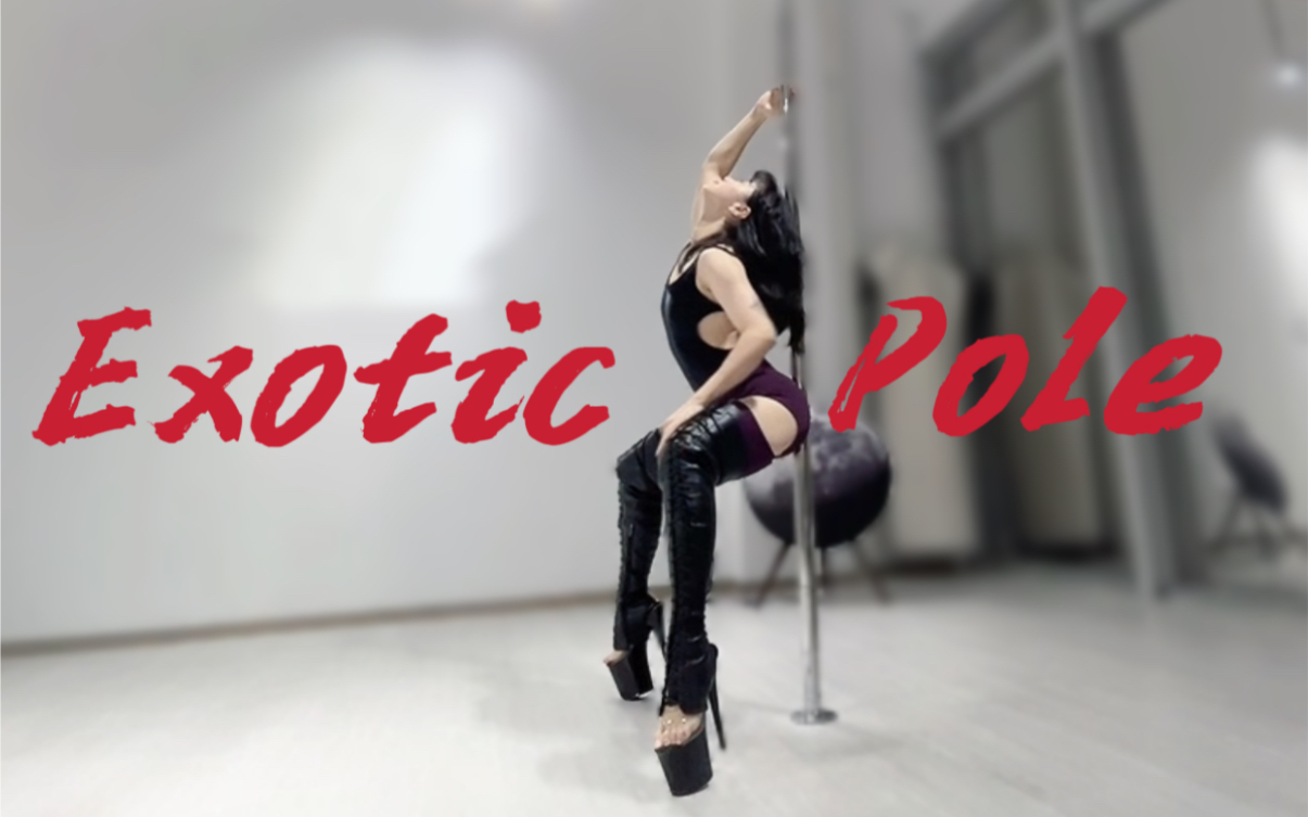 只做铁打的主C|高跟鞋钢管舞|竖屏纯净版|Exotic Pole Dance哔哩哔哩bilibili