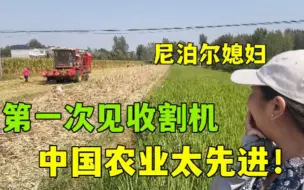 Download Video: 尼泊尔媳妇第一次见收割机，震惊速度太快：中国农业真先进！ #外国媳妇 #尼泊尔 #收玉米 #农村生活