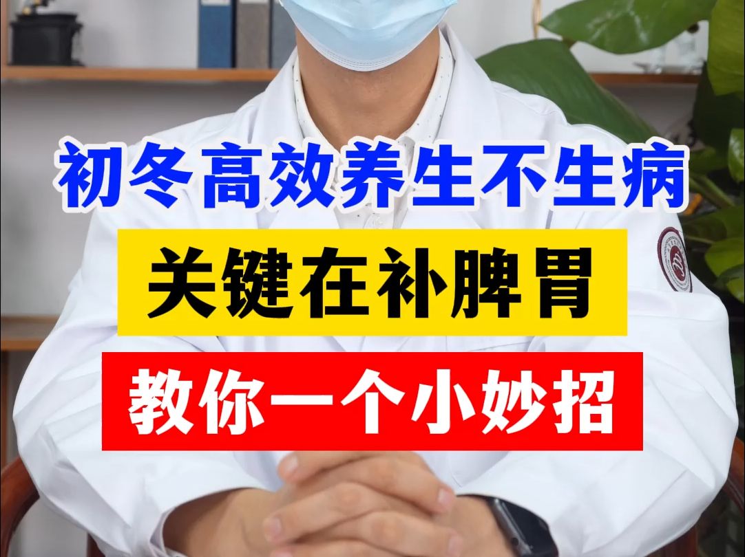 初冬高效养生不生病 关键在补脾胃 教你一个小秒招哔哩哔哩bilibili